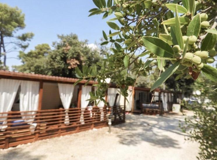 Mobile Home Cube, 3 Bedrooms, Free Parking, Wifi 比奥格勒·纳·莫鲁 外观 照片